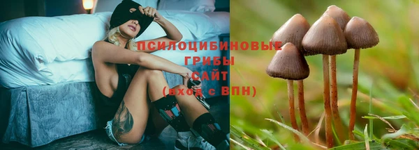 MDMA Premium VHQ Липки