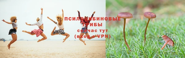 эйфоретик Лиски