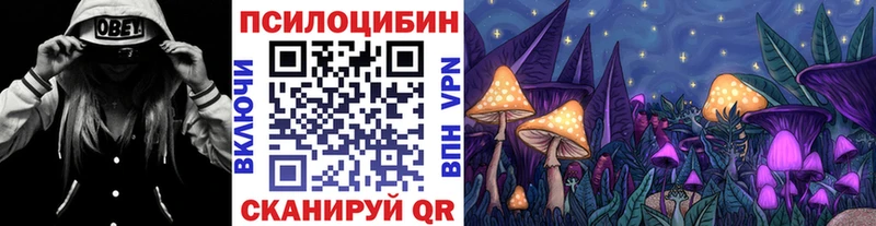 Псилоцибиновые грибы Psilocybine cubensis Прокопьевск