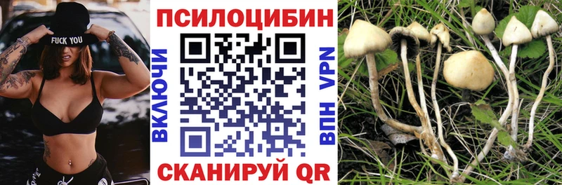 ОМГ ОМГ ссылка  наркотики  Прокопьевск  Галлюциногенные грибы ЛСД 